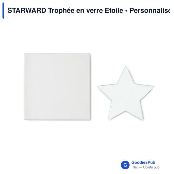 Trophée en verre étoile personnalisable avec logo - STARWARD - Image 7
