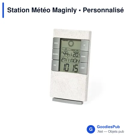 Station Météo Maginly