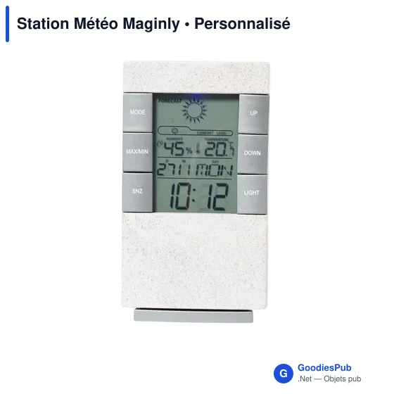 Station Météo Maginly - Image 2