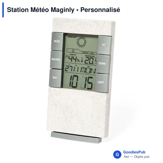 Station Météo Maginly - Image 3