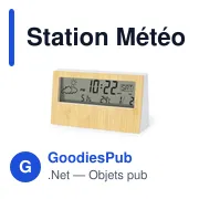 Station Météo Roamer - Miniature 1