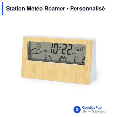 Station Météo Roamer