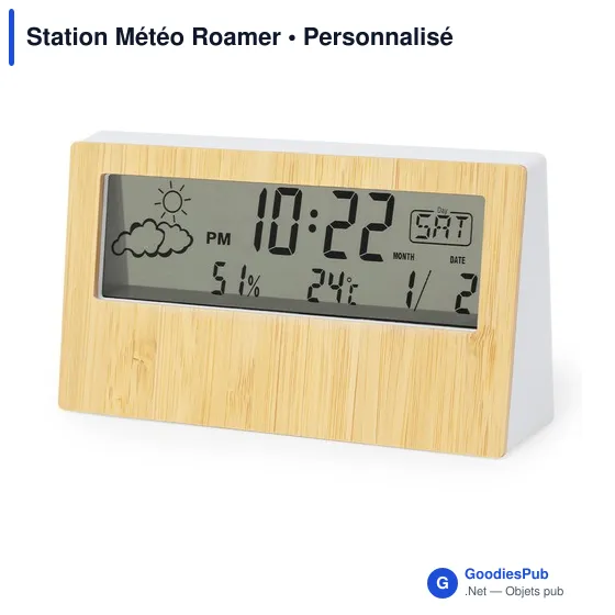 Station Météo Roamer - Image 2