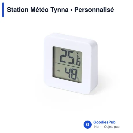 Station Météo Tynna
