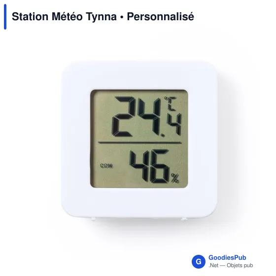 Station Météo Tynna - Image 2