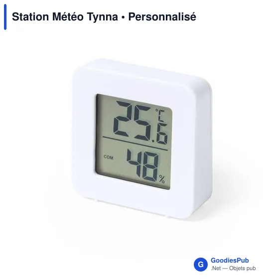 Station Météo Tynna - Image 3