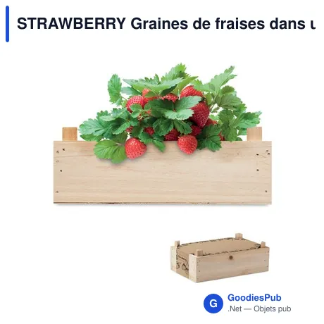 STRAWBERRY Graines de fraises dans une cai