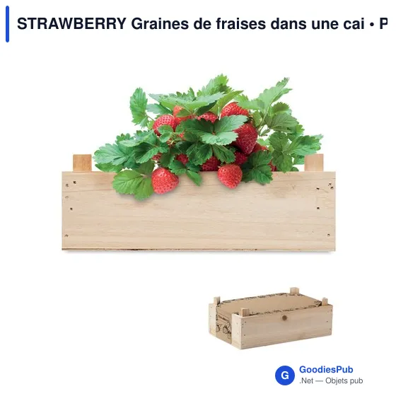 STRAWBERRY Graines de fraises dans une cai - Image 1