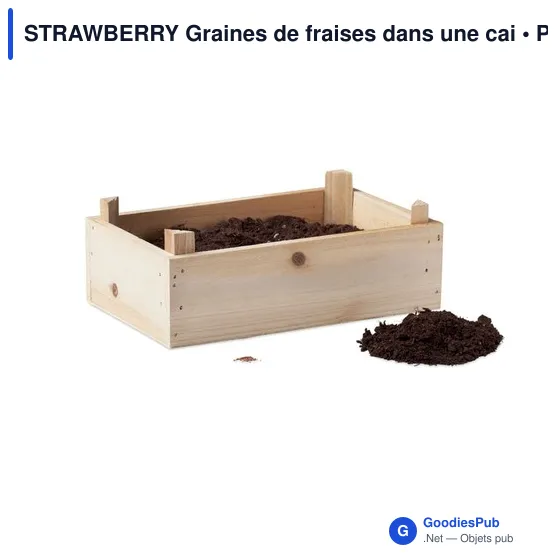 STRAWBERRY Graines de fraises dans une cai - Image 3