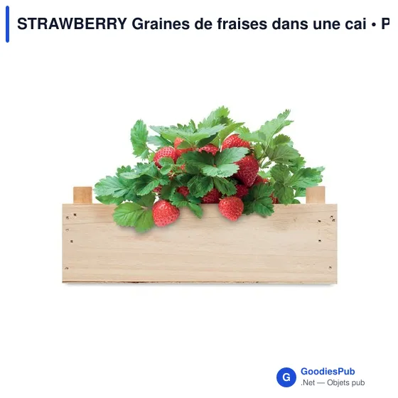 STRAWBERRY Graines de fraises dans une cai - Image 4