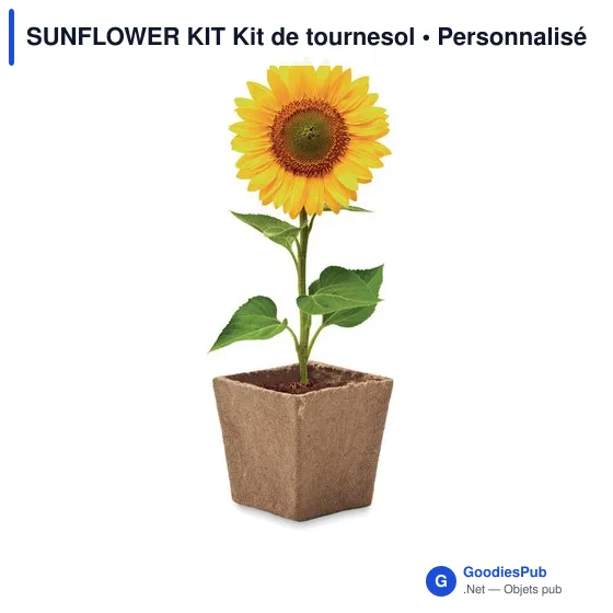 SUNFLOWER KIT Kit de tournesol - Image 3