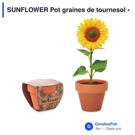 SUNFLOWER Pot graines de tournesol
