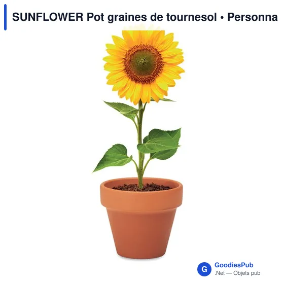 SUNFLOWER Pot graines de tournesol - Image 5