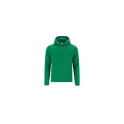 Variante vert - Sweat-Shirt Enfant Draco