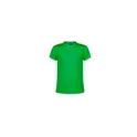Variante vert - T-Shirt Enfant Tecnic Rox