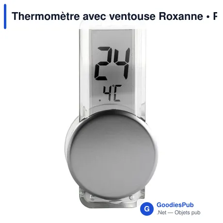 Thermomètre avec ventouse Roxanne
