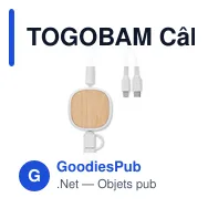 TOGOBAM Câble de charge USB rétractable - Miniature 3