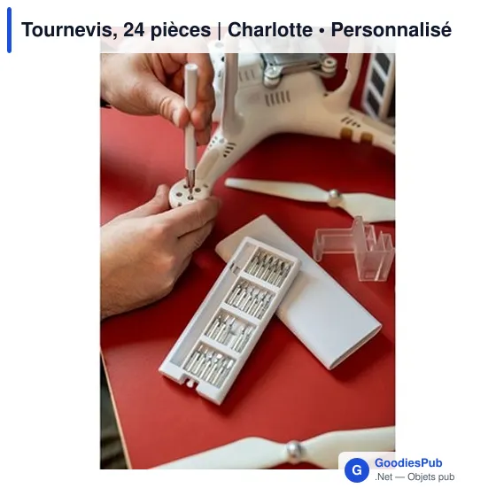 Tournevis, 24 pièces | Charlotte - Image 4
