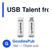 Clé USB personnalisable 4 Go avec logo - USB Talent from stock - Miniature 2