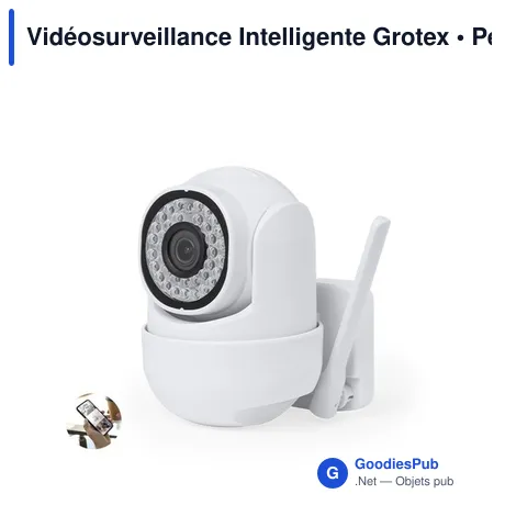 Vidéosurveillance Intelligente Grotex