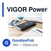 VIGOR Powerbank sans fil 8000 mAh - Miniature 5