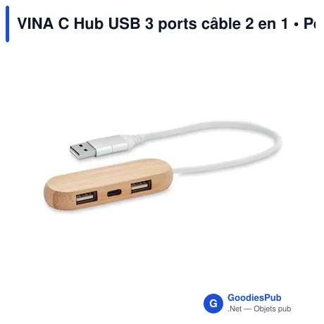 VINA C Hub USB 3 ports câble 2 en 1