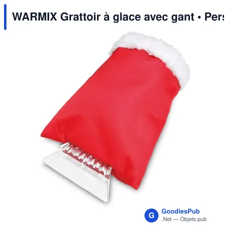 WARMIX Grattoir à glace avec gant