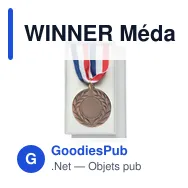 WINNER Médaille 5cm de diamètre - Miniature 1