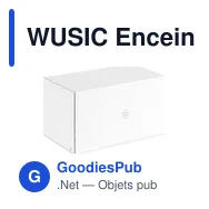 WUSIC Enceinte chargeur sans fil 15W - Miniature 7